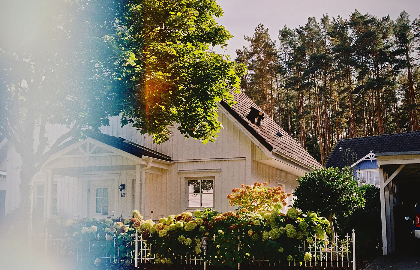 Helles Wohnhaus mit Garten, Blumen und Bäumen